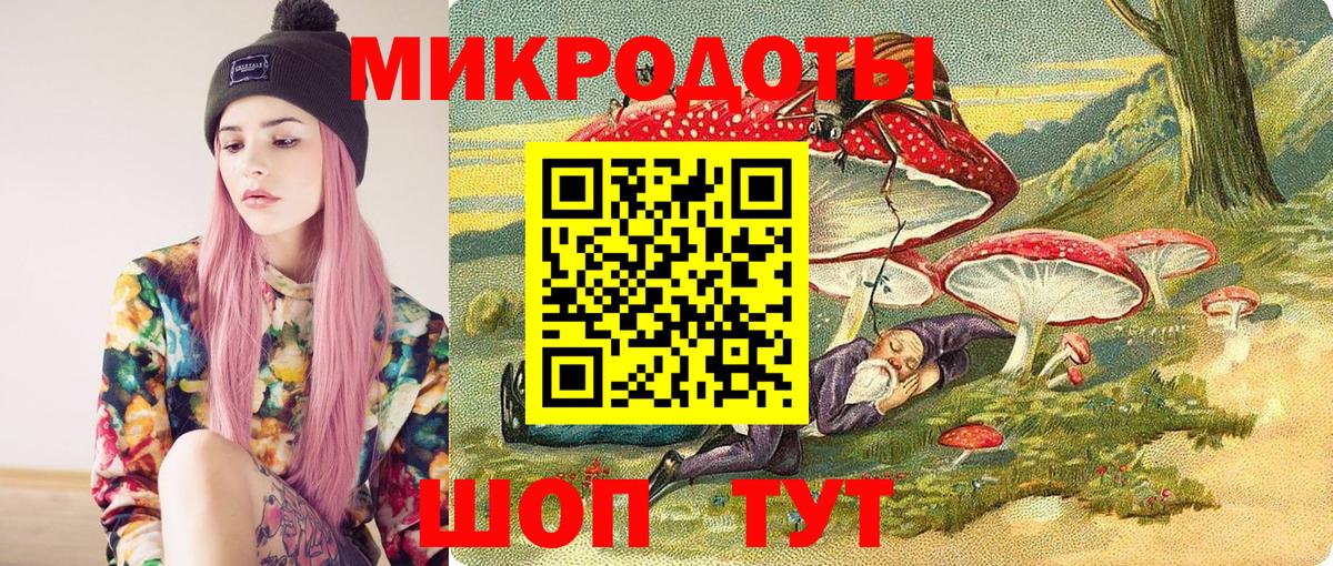 Галлюциногенные грибы Psilocybe Фрязино