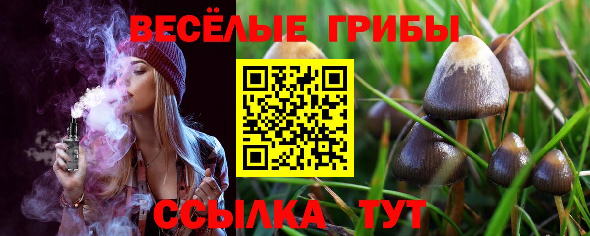 Псилоцибиновые грибы ЛСД  Вход с VPN  Псилоцибиновые грибы Psilocybine cubensis  Фрязино 