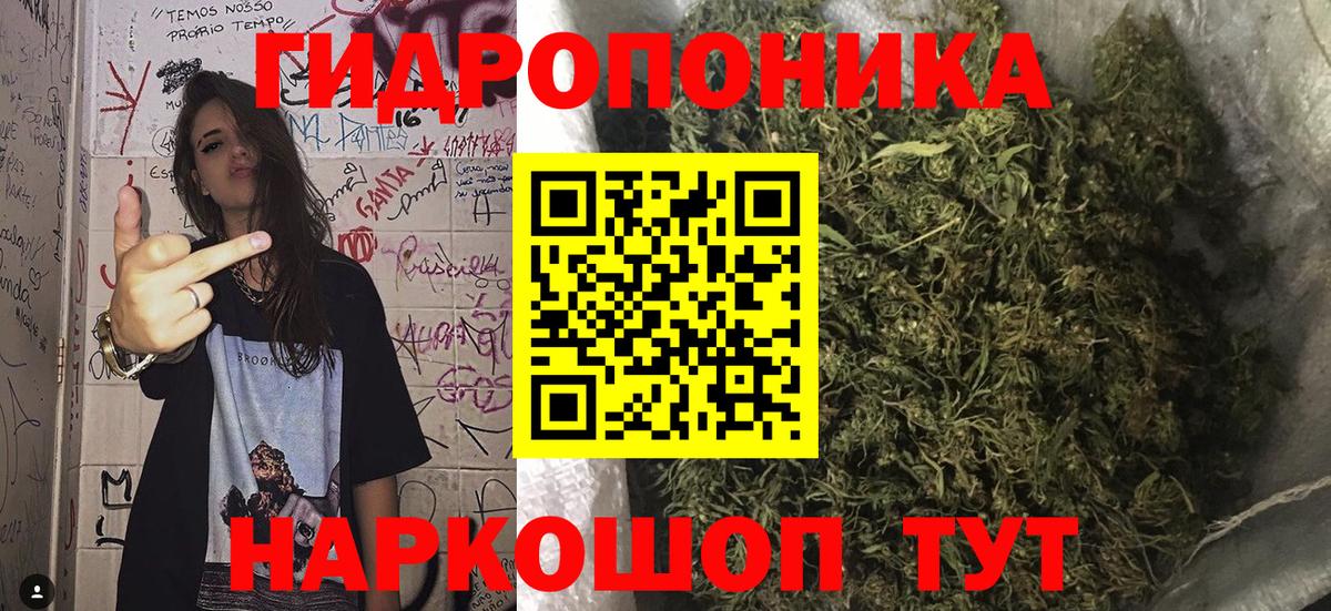 Шишки марихуана ГИДРОПОН Фрязино